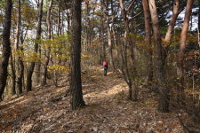 근교산&그너머 <1307> 창원 상투봉~화개산