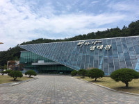 태화강 연어의 모든 것…첫 연구자료 내달 공개