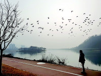 온천물에 몸 지지고 불꽃같은 의열 체험, 마음까지 ‘뜨끈뜨끈’