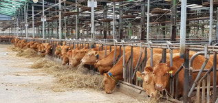 브랜드 강화·악취 개선… 축산도시 김해, 지속 가능한 축산발전 로드맵 확정