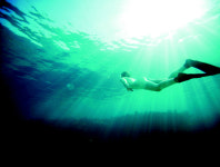 美 부부 허니문 갔다가 태평양에 버려져, 여행사 상대 65억 소송 제기