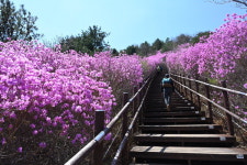 [근교산&그너머] <1327> 경남 창원 무학산