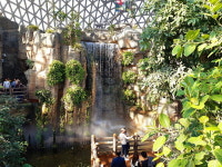 [바캉스 특집-경남 거제시] 전용 화장실·샤워장까지, 반려견과 함께 즐기는 명사해수욕장