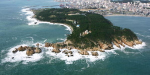 [바캉스 특집-울산 동구] 1만여 그루 해송숲, 잔잔한 일산해수욕장…가족피서객 안성맞춤