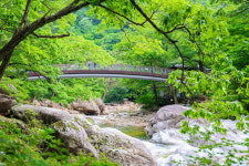 [바캉스 특집-경남 산청군] 대원사·중산리 계곡서 첨벙첨벙…자연 워터파크 대포숲·자양보도