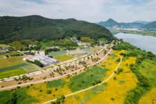 도요새 머물던 낙동강 옆 마을 생태관광지로 조성