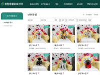 반려동물 정보 한눈에…창원시 동물보호센터 홈페이지 개설