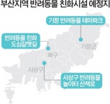 Naver 搜索结果照片 2