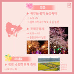 [카드뉴스]부산근교 봄꽃 축제
