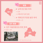 [카드뉴스]부산근교 봄꽃 축제