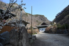 [근교산&그너머] <1372> 양산 원동 천태산