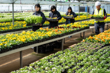 4일 부산 울산 경남, 낮 최고 14∼17도…대체로 흐림