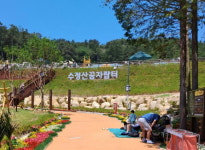 까르륵 깔깔깔…아이들의 천국 된 대형 숲놀이터