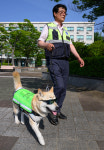부산 반려견 순찰대 확대, 1일 선포식