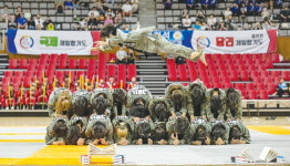 부산시장배 세계합기도선수권 성황