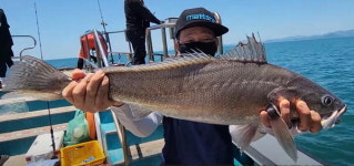 [조황] 장맛비에도 왕성한 입질…짜릿한 손맛