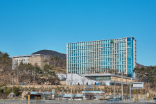 울산 회야댐 상류서 물고기 수십 마리 폐사