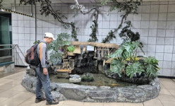 84세 어르신이 가꾸는 구명역 정원