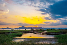 [바캉스 특집-부산 사하구] 광활한 자연, 낭만의 축제…다대포 여름은 해가 지지 않는다