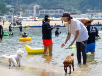 [바캉스 특집-경남 거제시]  장애인도 멍멍이도 해수욕장으로…그림같은 근포땅굴서 인증샷 찰칵