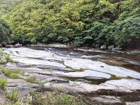 [근교산&그너머] <1391> 밀양 가지산 용수골~쇠점골
