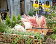 학생들이 만든 손바닥 정원