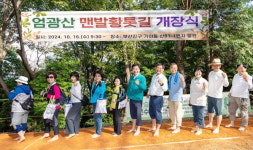 부산진구, 엄광산 등에 포레스트 어싱로드 조성