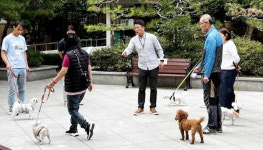 연제구, 반려 동식물 힐링문화행사 개최