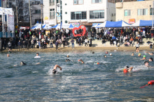 거제 11일 펭귄수영축제… 겨울바다 풍덩