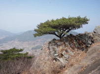 [근교산&그너머] <1409> 통영 바다백리길 1구간 미륵도 미륵산~달아공원