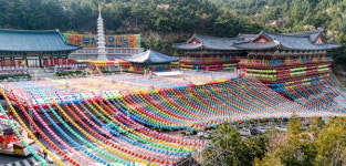 연등 밝힐 준비하는 삼광사