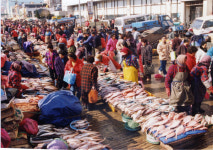 [뭐라노] ‘격동기’ 자갈치아지매