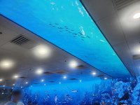 광안역 지하통로, 미디어 아트 체험장 변신