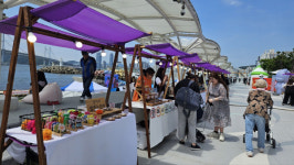 예상치 못한 반려견의 행동… 보호자와 관객 모두 하하하