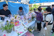 부산자유시장, 꽃 프리마켓 진행