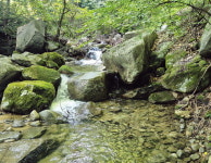 [근교산&그너머] <1423> 경남 함양 ‘오르GO 함양’ 산악 완등 인증 ⑤ 도숭산