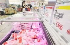 삼계탕 2만 원 육박…대형마트, 생닭 앞세워 초복 대전