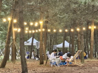 바닷가 솔숲 독서…힐링 그 자체였던 올 마지막 바다도서관