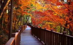 진양호 노을길, 가지산 철쭉길 함께 걸어요(종합)