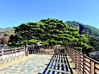 [근교산&그너머]  경남 양산 법기수원지 천성산 누리길
