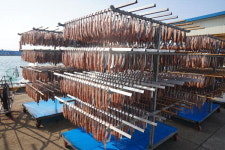 [근교산&그너머] <1444> 해파랑길 14코스 포항 구룡포~호미곶