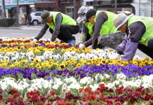 교통섬에 화분…부산시 ‘1만개 정원’ 실효성 의문