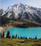 카자흐스탄김해학원 | 김해공항 신규 취항 확대…카자흐스탄 알마티 등 직항