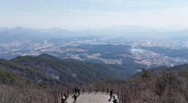 [근교산&그너머] <1454> 충북 제천 용두산