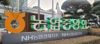 농협, 2026년 상반기 신규 직원 860명 공개 채용