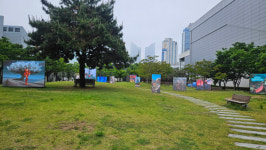 [시민기자]부산, 亞 디지털 아트 새로운 흐름 선도한다