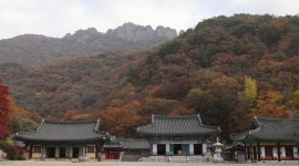 구천동·내장산, 무늬만 관광특구..활성화 대책 필요