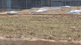 5월부터 농지법 강화, 주말농장도 영농계획서 내야