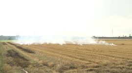 전북 지역 일교차 15도 이상.. 불씨 관리 주의