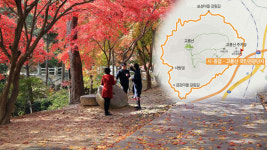 힐링! 감빛 곱게 물든 전북의 단풍 천리길 11곳